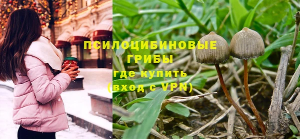 прущие крисы Алзамай