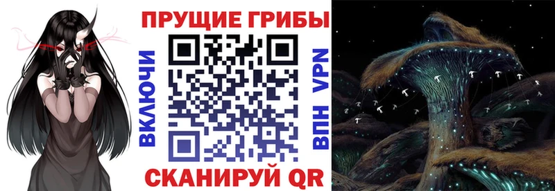Галлюциногенные грибы GOLDEN TEACHER  цены наркотик  Лукоянов 